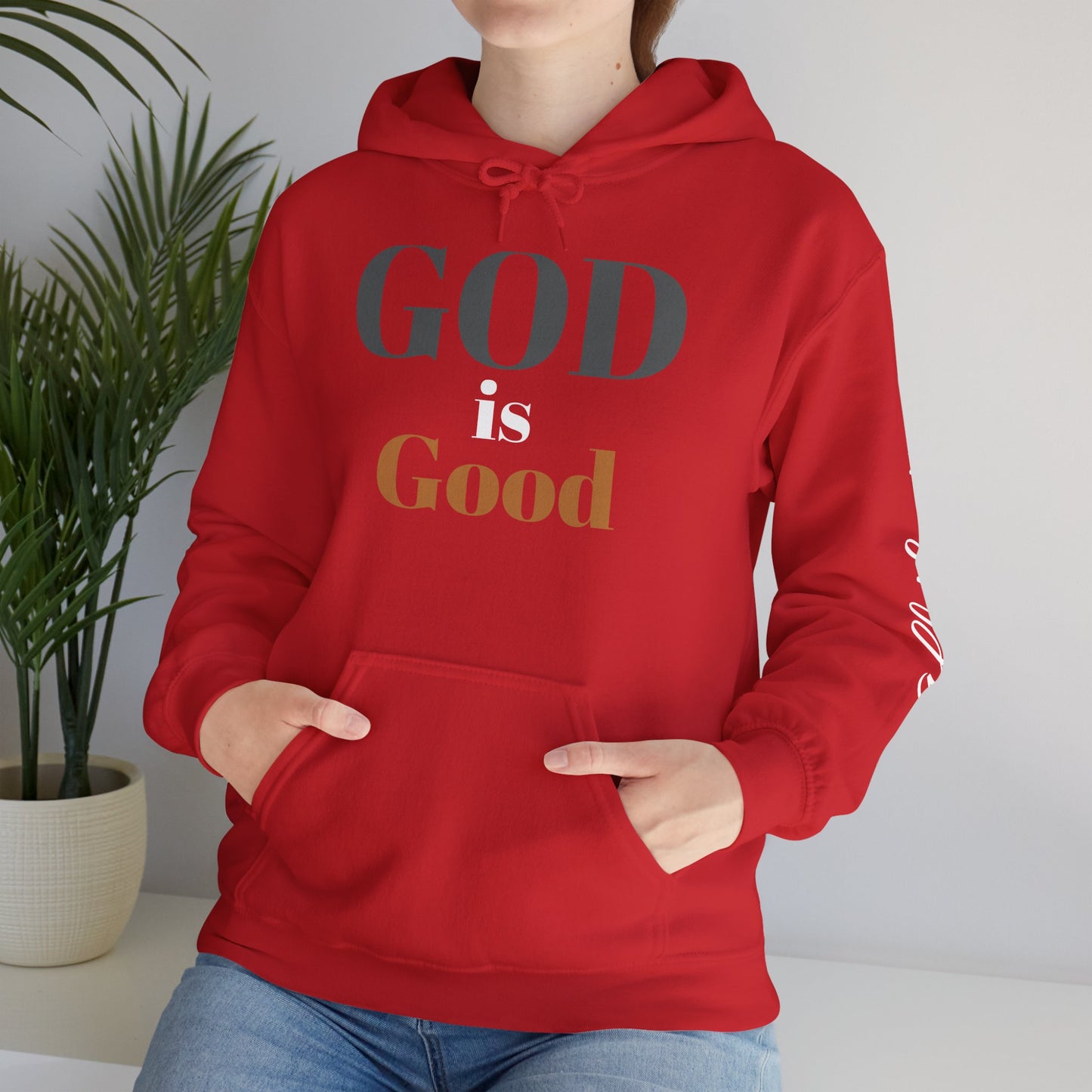 A GOD is good Hoodie ✝️