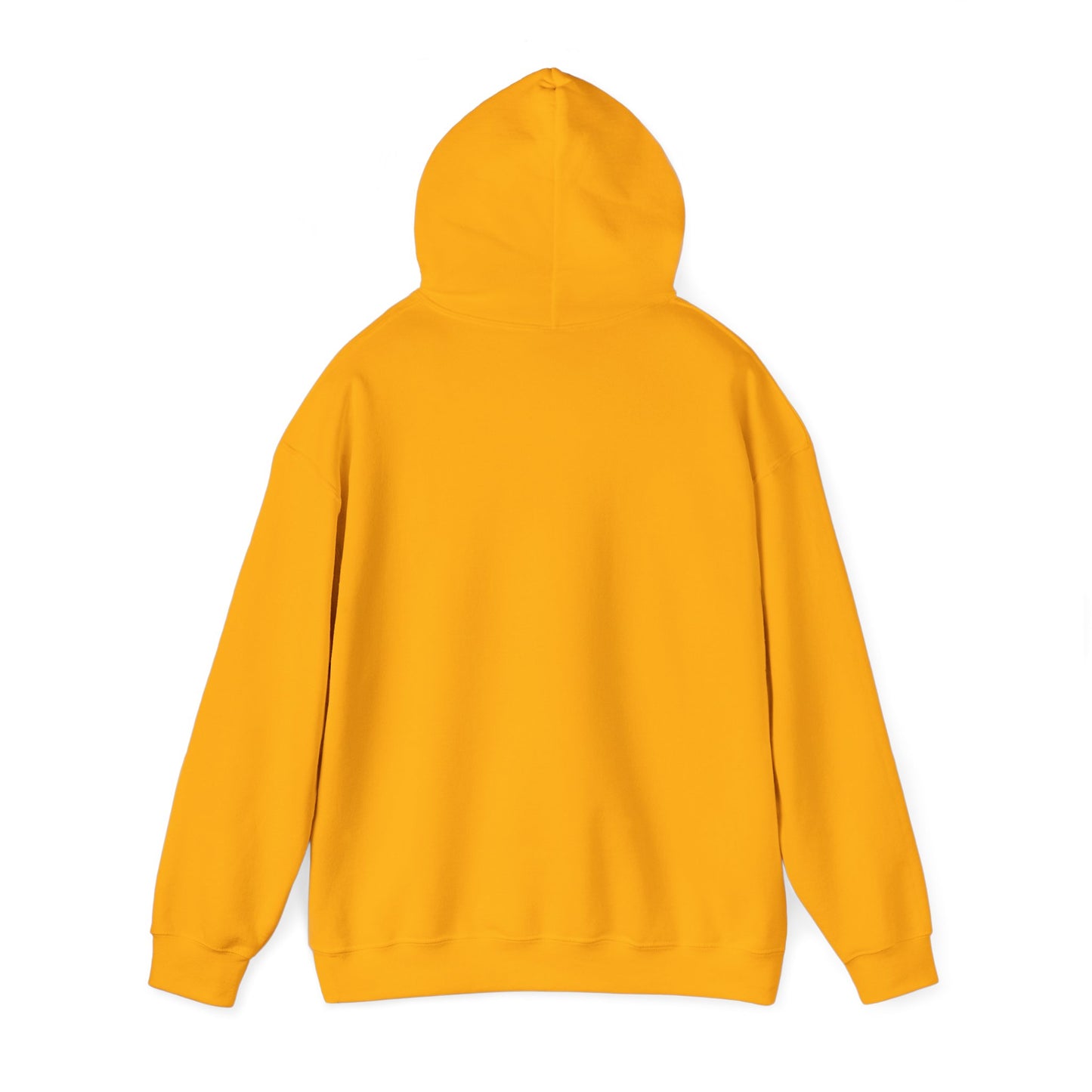 A DRocka Exclusive - Jesus IS… Hoodie - Alcorn Colors - DRocka Edition 🔥