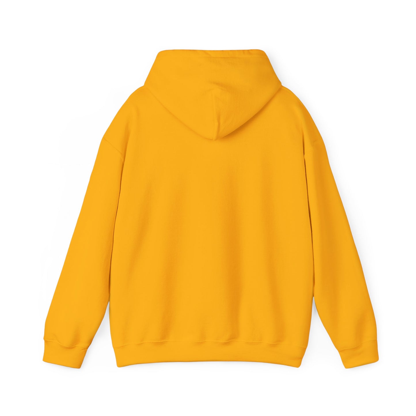 A DRocka Exclusive - Jesus IS… Hoodie - Alcorn Colors - DRocka Edition 🔥