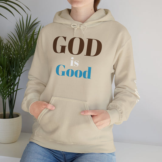 A GOD is good Hoodie ✝️